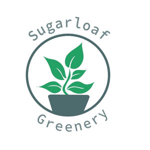 Sugarloaf Greenery