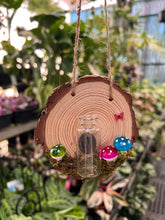 Load image into Gallery viewer, Fairy Mushroom Propagation Station
