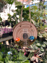 Load image into Gallery viewer, Fairy Mushroom Propagation Station
