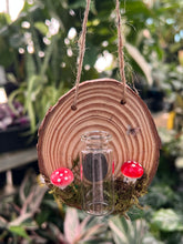 Load image into Gallery viewer, Fairy Mushroom Propagation Station
