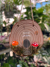 Load image into Gallery viewer, Fairy Mushroom Propagation Station

