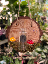 Load image into Gallery viewer, Fairy Mushroom Propagation Station
