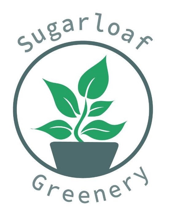 Sugarloaf Greenery eGift Cards